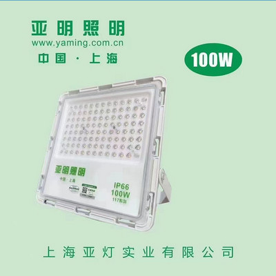 透镜白色100W